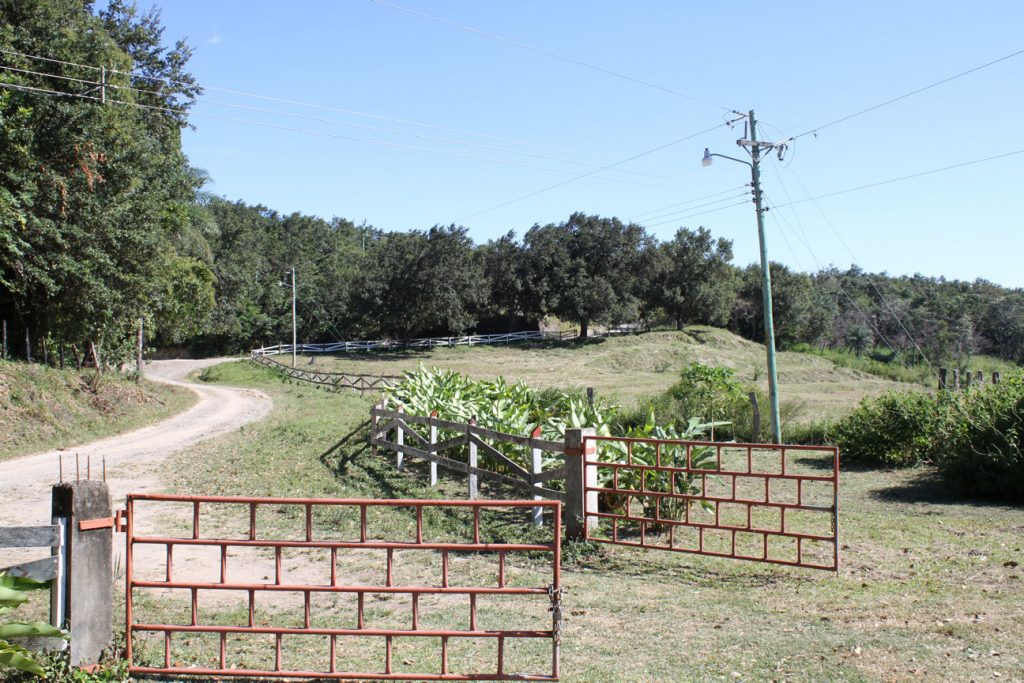 Finca 115 ha San isidro de Limonal 8