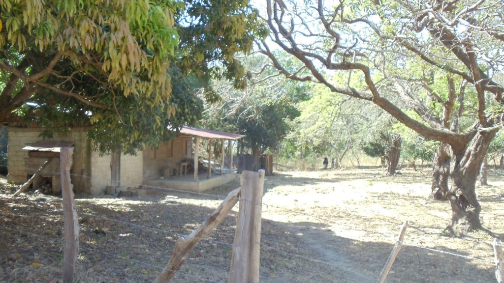 Farm of 395 hectares - San Isidro 25