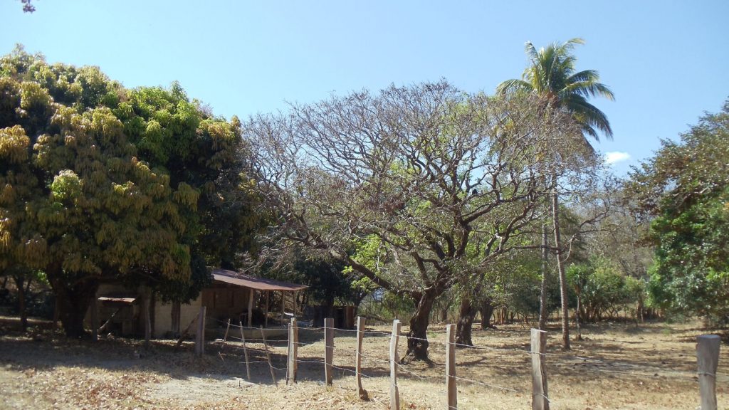 Farm of 395 hectares - San Isidro 23