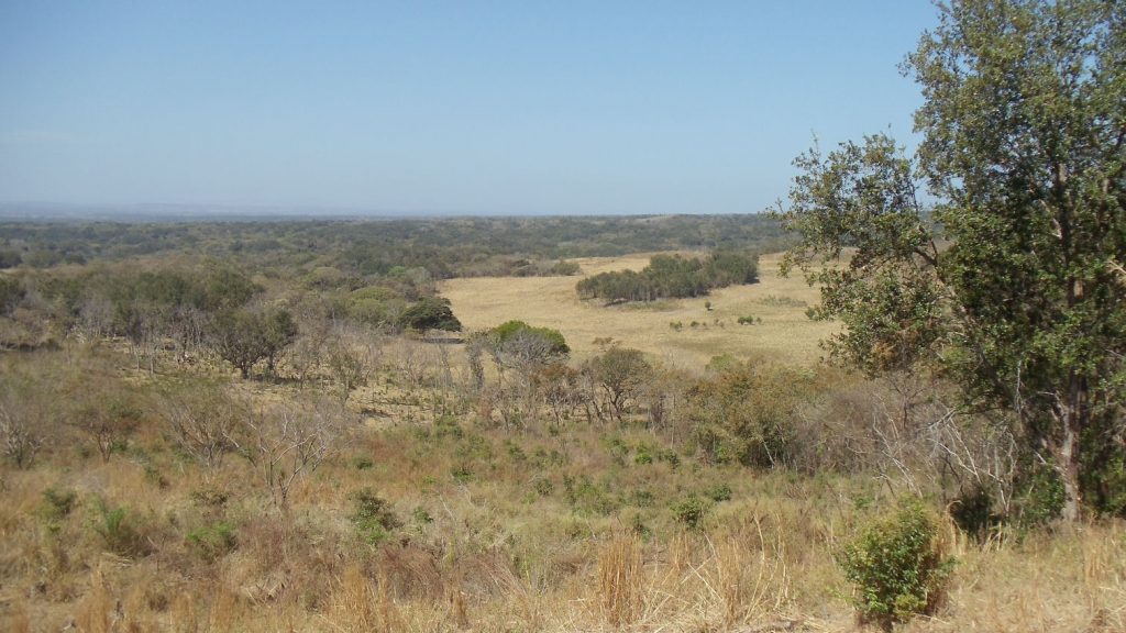 Finca de 395 hectáreas - San Isidro 18