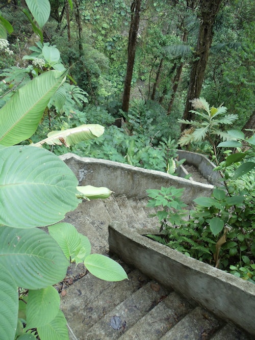 Catarata Del Toro