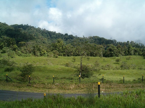 Bajos Del Toro hotel site