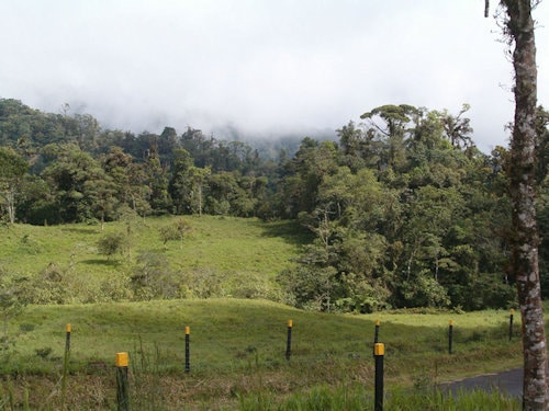 Bajos Del Toro hotel site